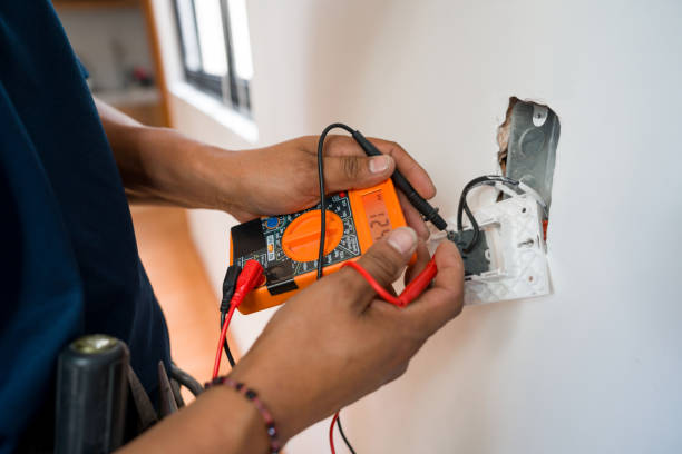 Best Electric Panel Repair  in Seeley Lake, MT